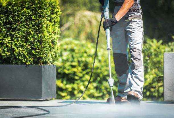 Best Soft Washing  in East Richmond Heights, CA